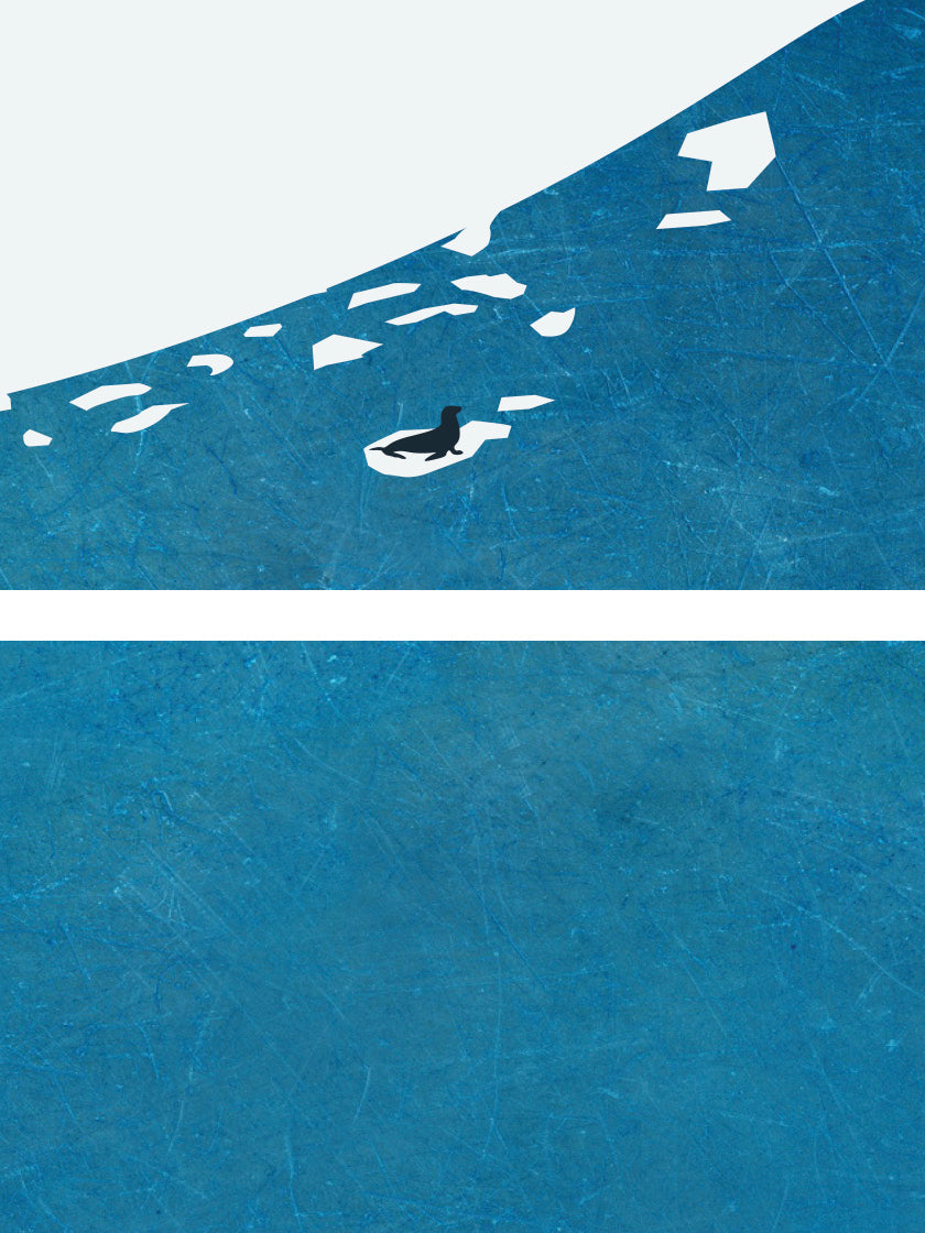 Seal Solitude - アザラシの孤独