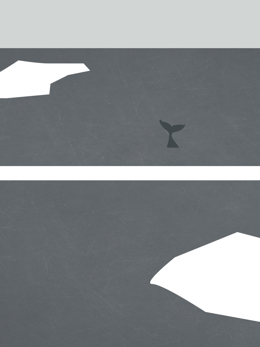 Whale Solitude - クジラの孤独