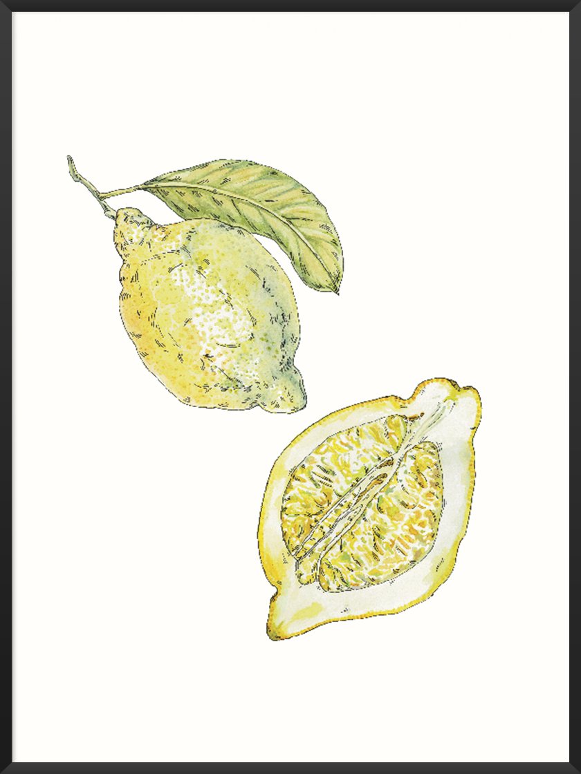 Hand Painted Vintage Lemon - ヴィンテージレモン ポスター
