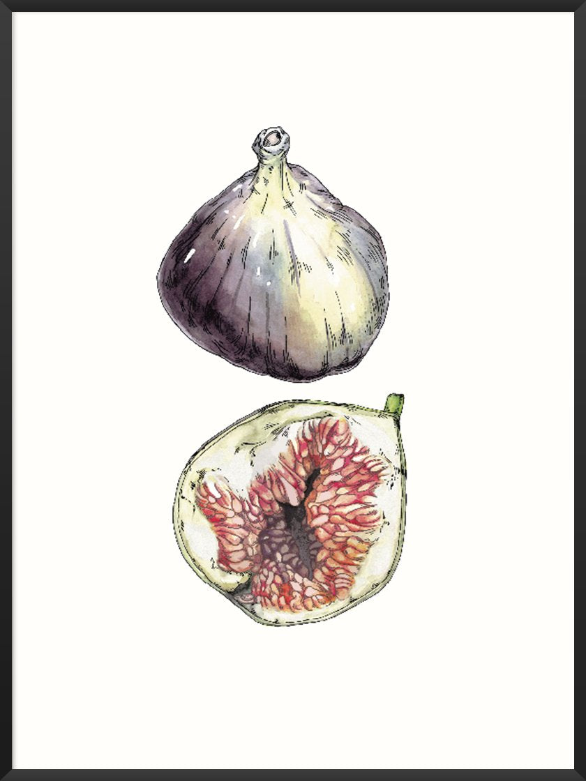 Figs - イチジク ポスター