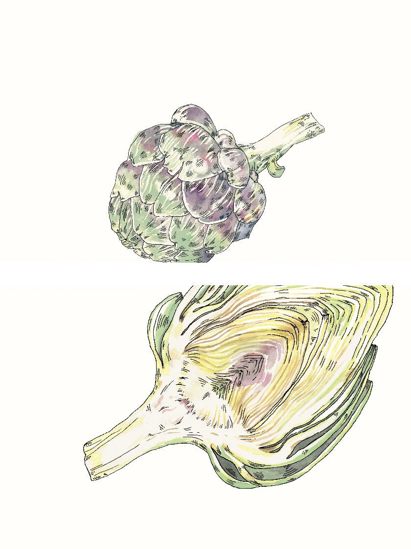 Vintage Hand Painted Artichoke - ヴィンテージアーティチョーク ポスター