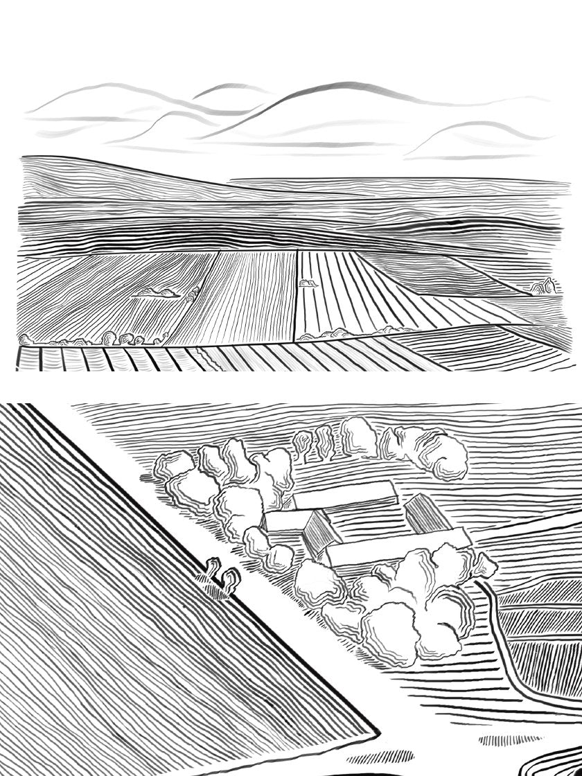 Danish Field - デンマークの田園風景 ポスター