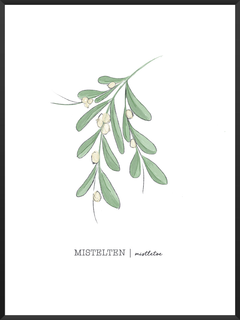Mistletoe - ヤドリギ ポスター