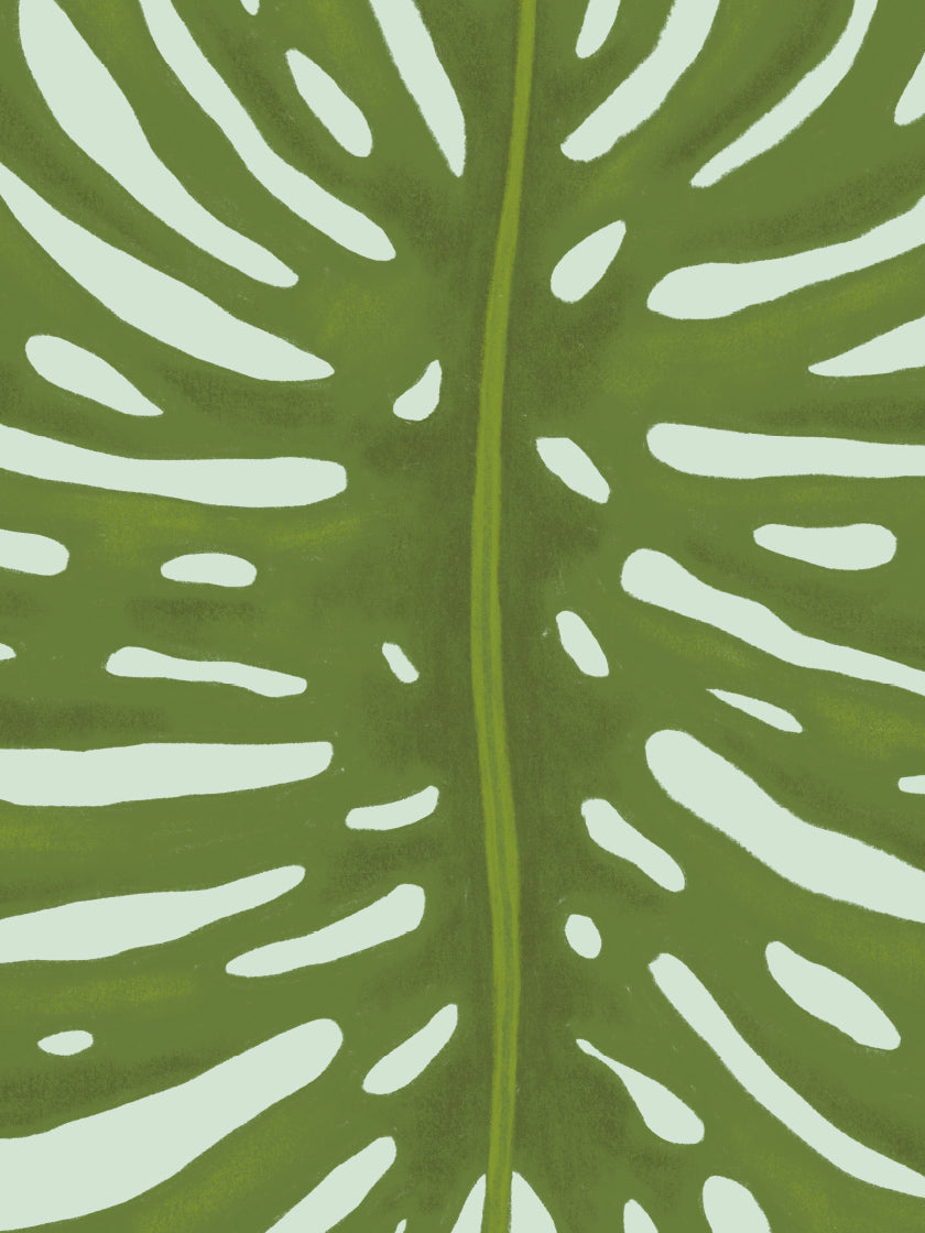 Monstera Leaf - モンステラリーフ ポスター