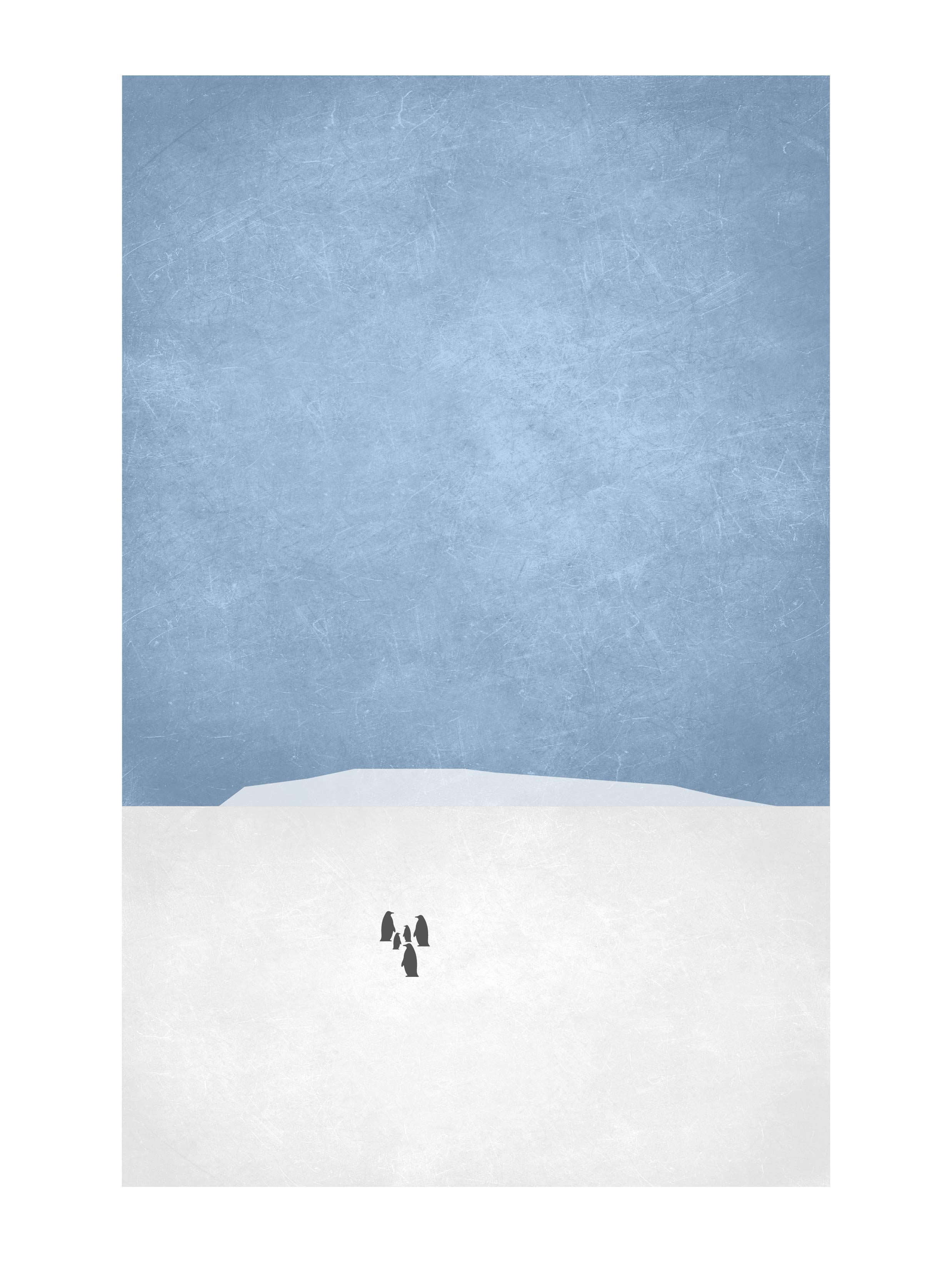 Penguin Society - ペンギンの集団