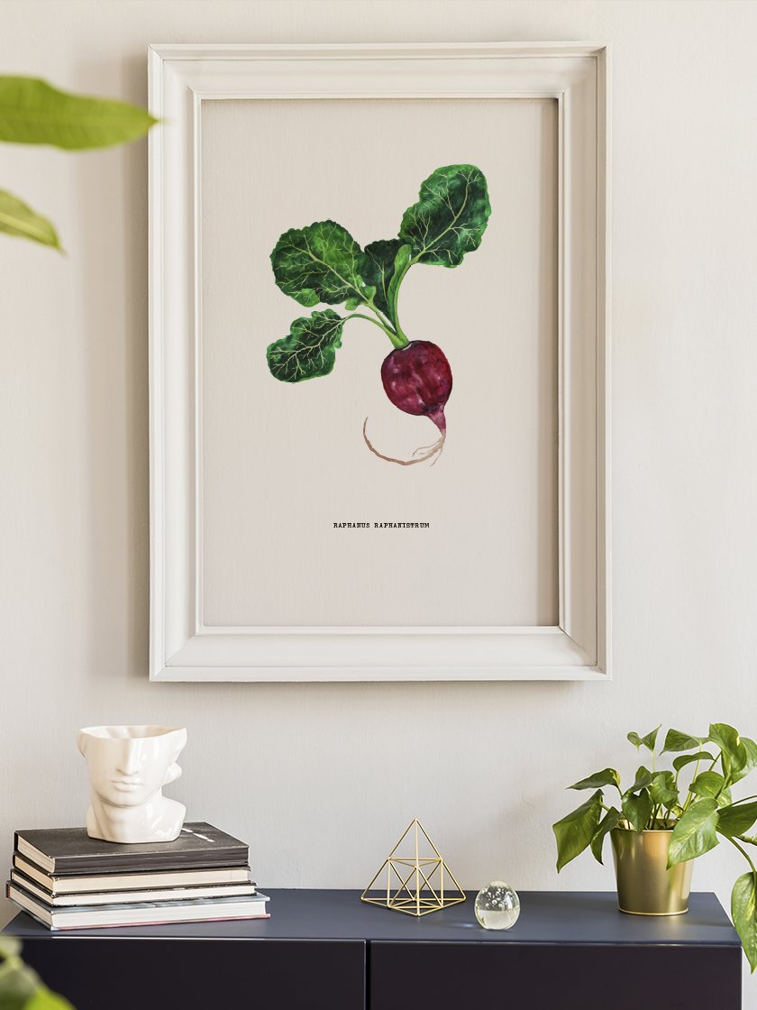 Vintage Botanical Radish - ヴィンテージボタニカルラディッシュ ポスター