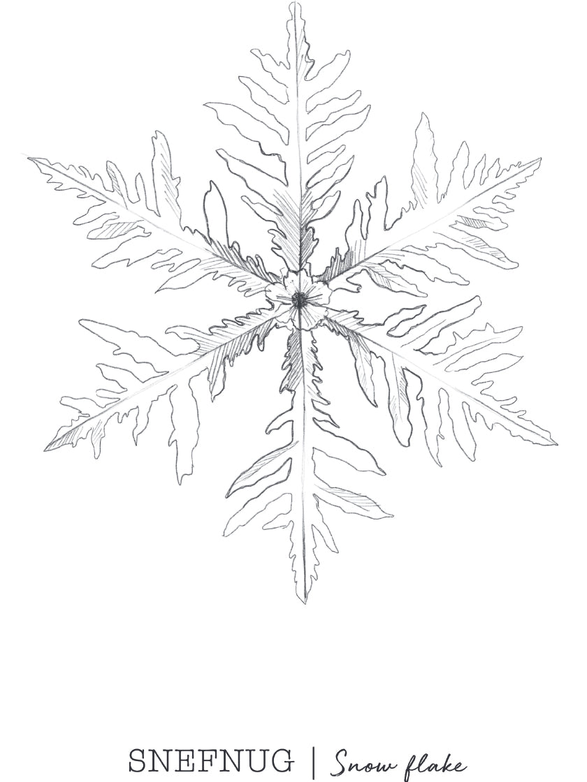 Snowflakes - ひとひらの雪 ポスター