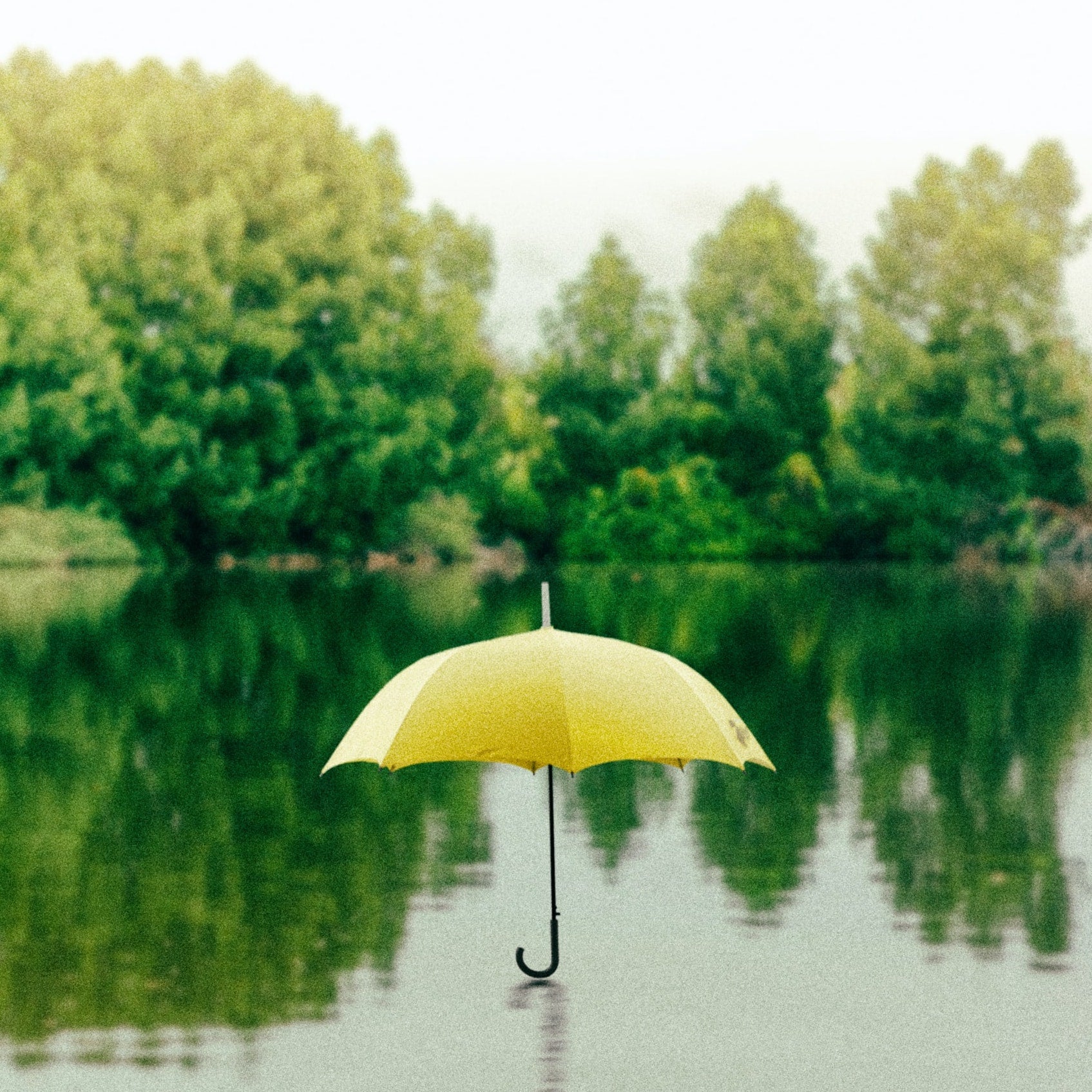雨の日の傘