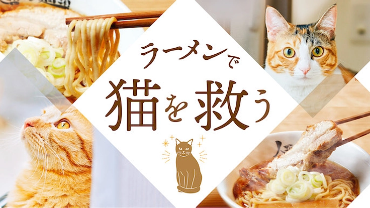 キャット・ラーメン・カフェへの寄付