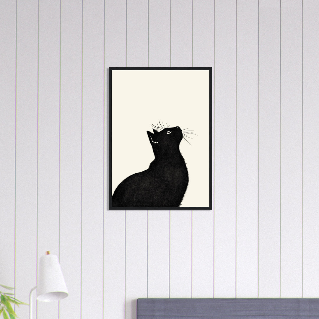 Curious Cat - 好奇心旺盛な猫