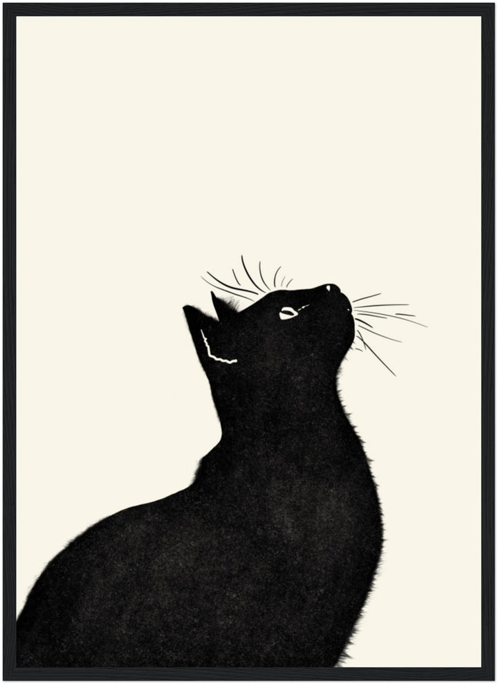Curious Cat - 好奇心旺盛な猫