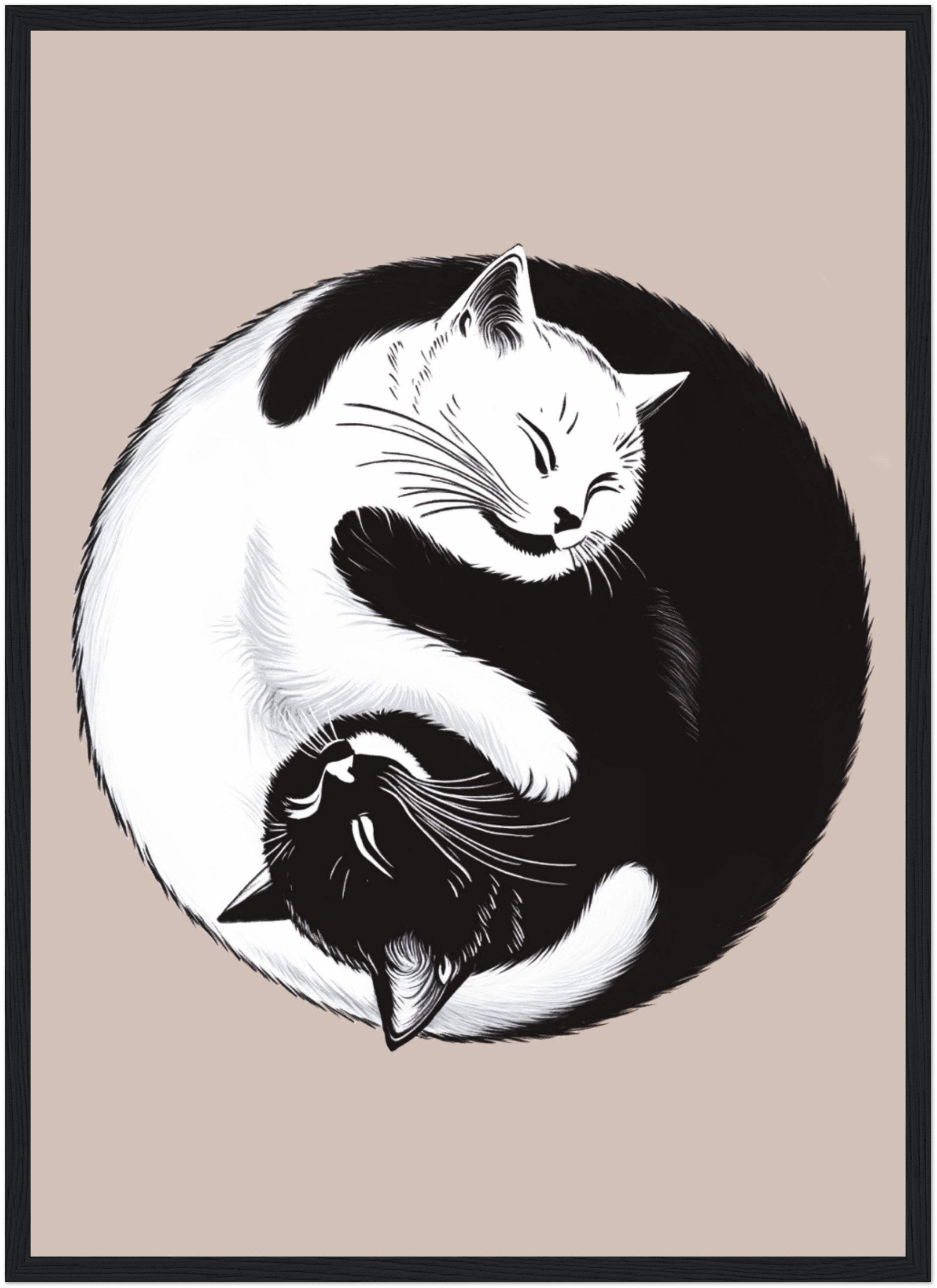 Yin Yang Cats poster - 陰陽猫