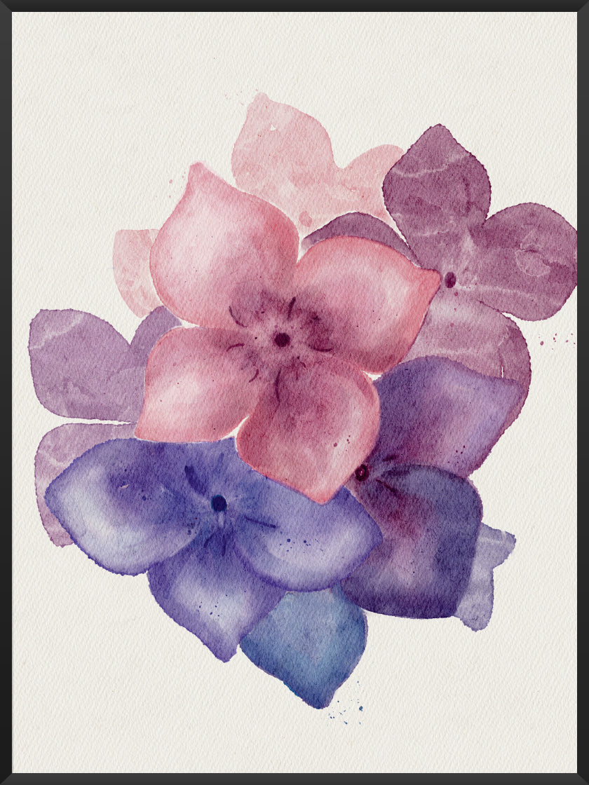 Purple Hydrangea - 紫陽花 ポスター