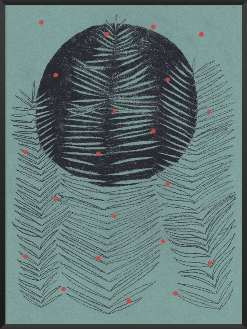 Ferns - シダの葉 ポスター
