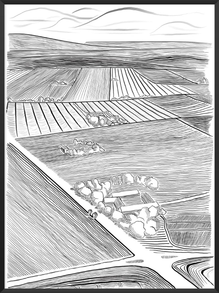 Danish Field - デンマークの田園風景 ポスター