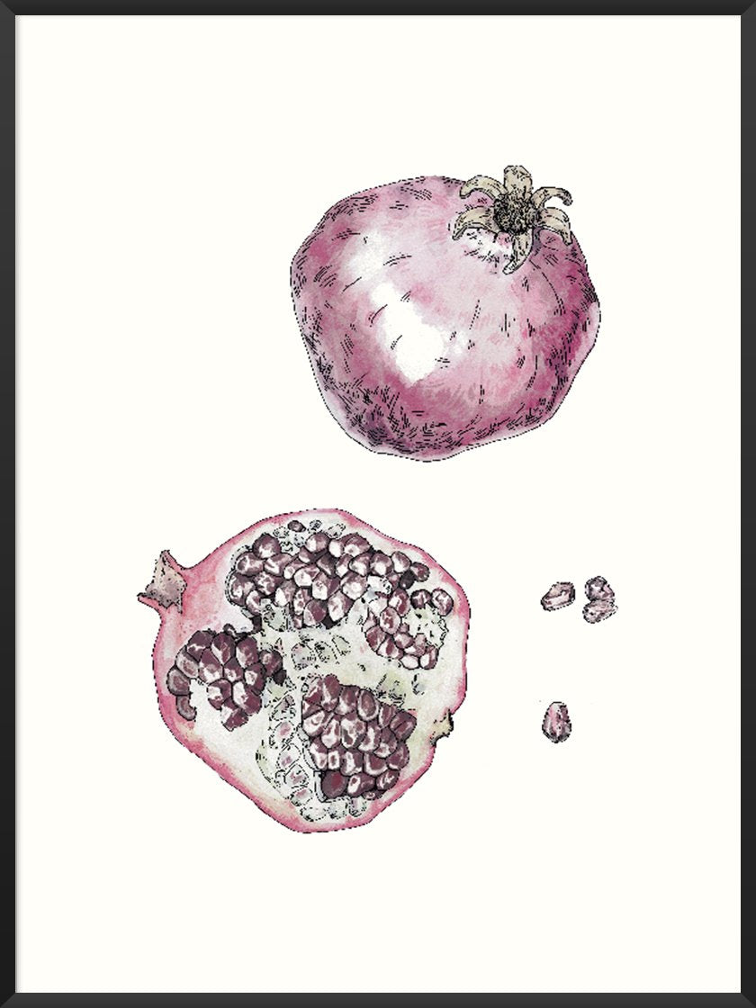 Vintage Botanical Pomegranate - ヴィンテージザクロ ポスター