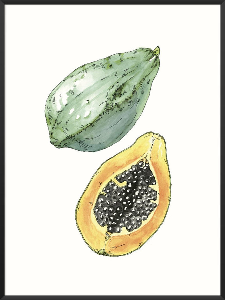 Hand Painted Vintage Botanical Papaya - ヴィンテージパパイヤ ポスター
