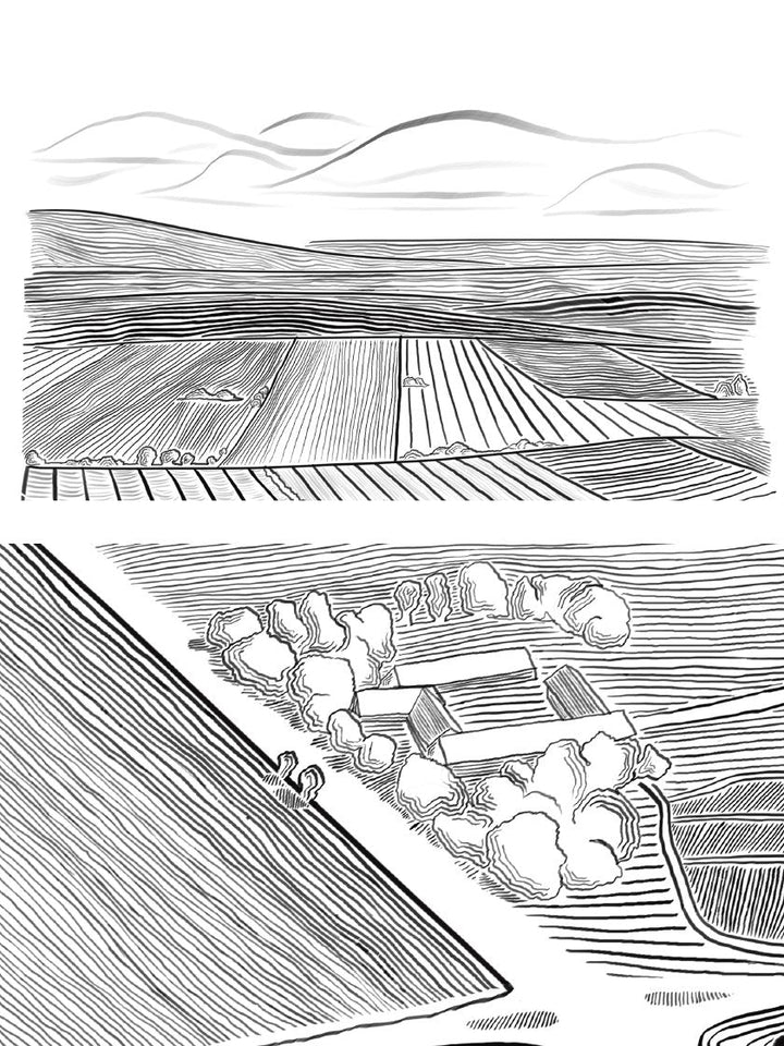 Danish Field - デンマークの田園風景 ポスター