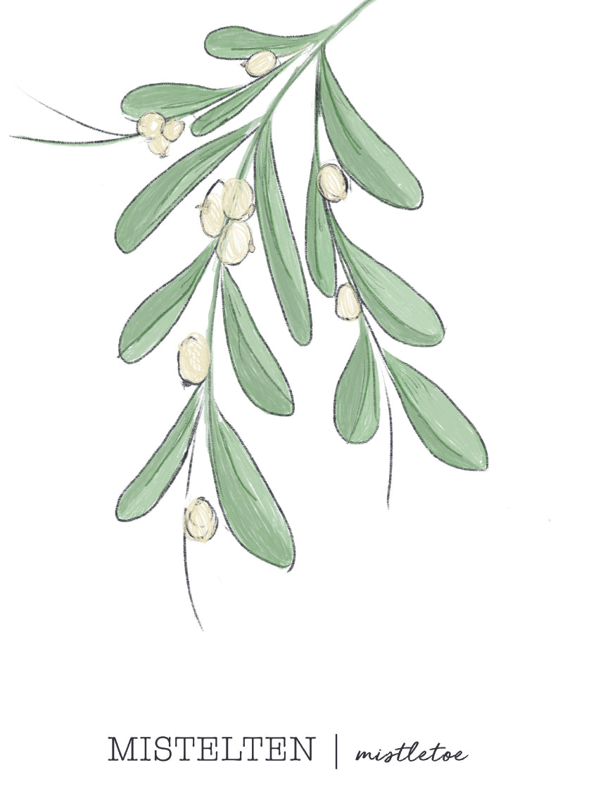 Mistletoe - ヤドリギ ポスター