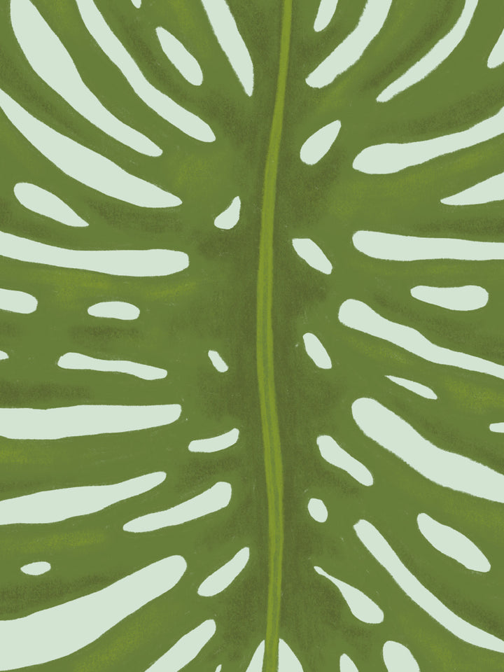 Monstera Leaf - モンステラリーフ ポスター