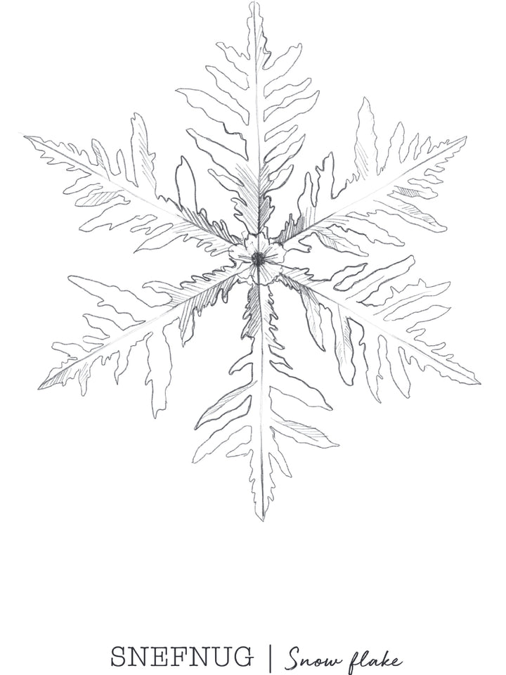 Snowflakes - ひとひらの雪 ポスター