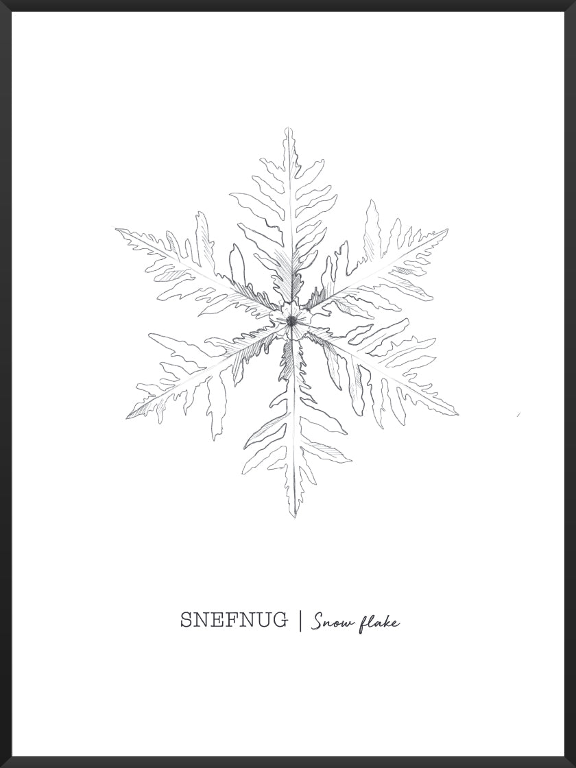 Snowflakes - ひとひらの雪 ポスター