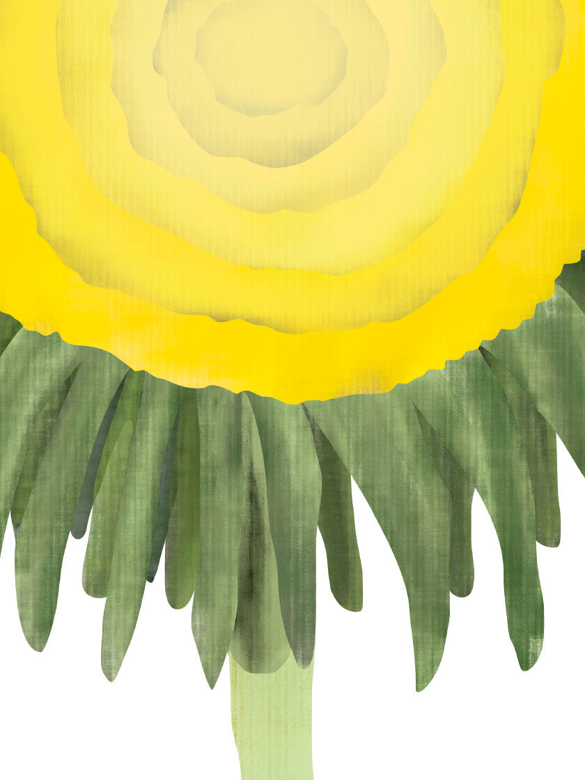 Sunshine Dandelion - 輝くタンポポ